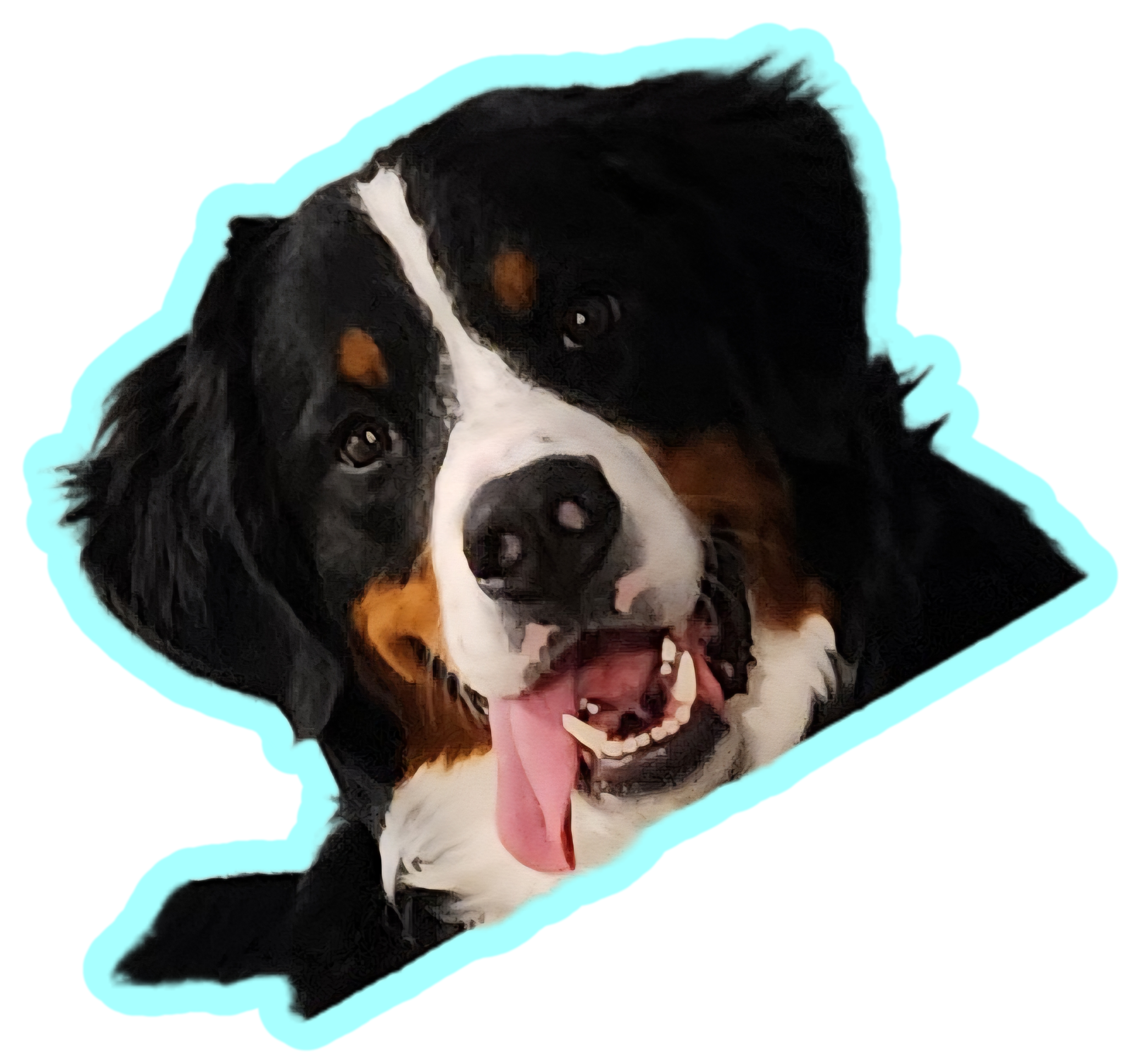 Rosie, NeOn's Bernese mountain dog mascot, smiling with her tongue out